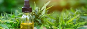 e-liquide à base de CBD